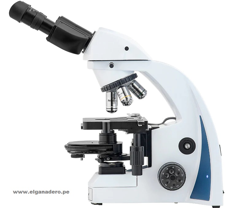 Microscopio de Evaluación de Semen i4 USA - Imagen 2