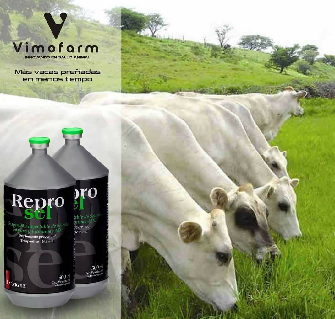 REPROSEL x 250 ML - Imagen 8