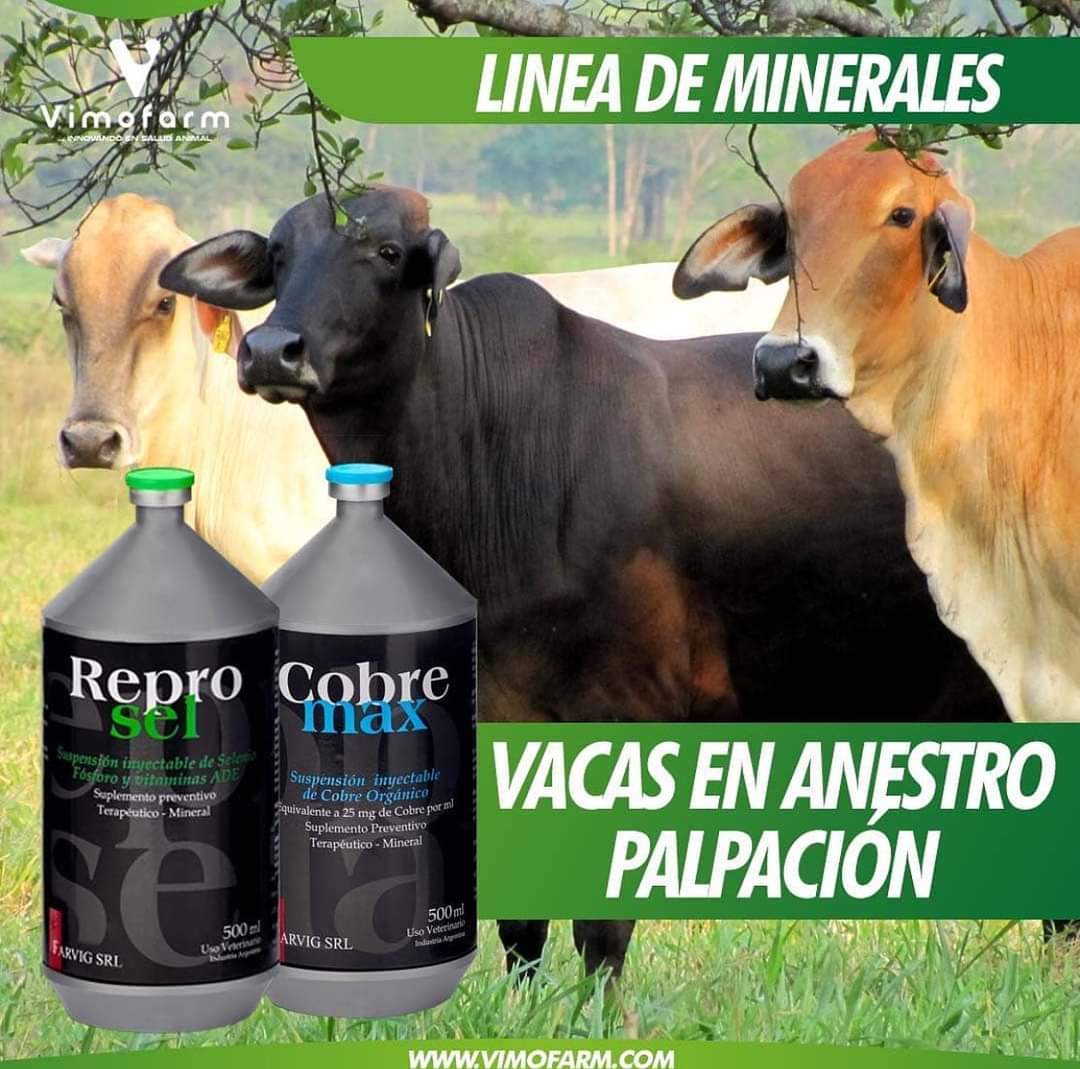 REPROSEL x 250 ML - Imagen 6