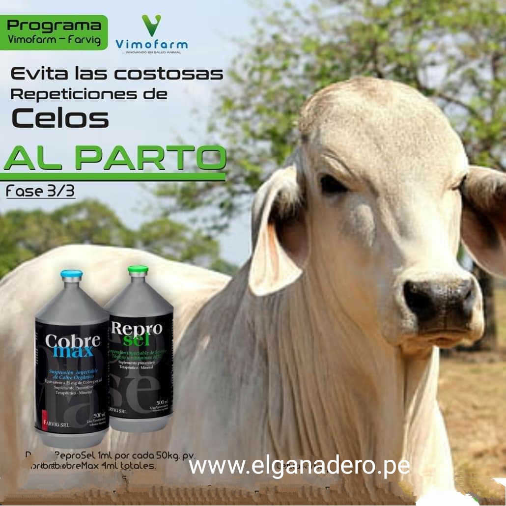 REPROSEL x 250 ML - Imagen 7