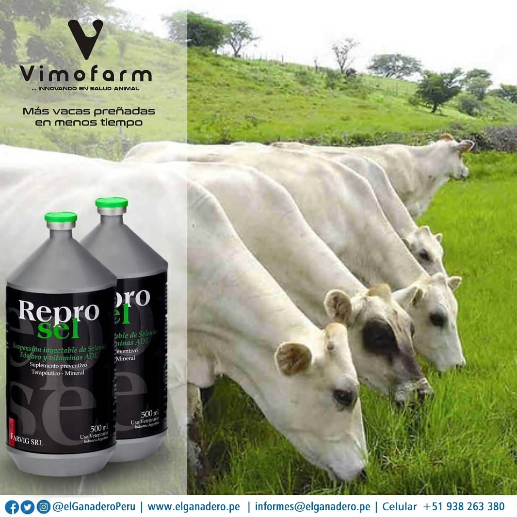 REPROSEL x 250 ML - Imagen 3
