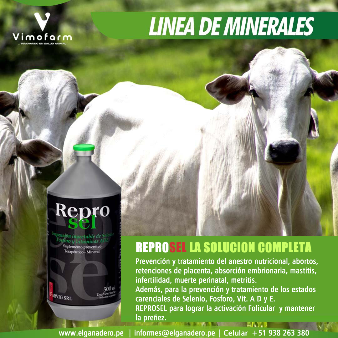 REPROSEL x 250 ML - Imagen 2