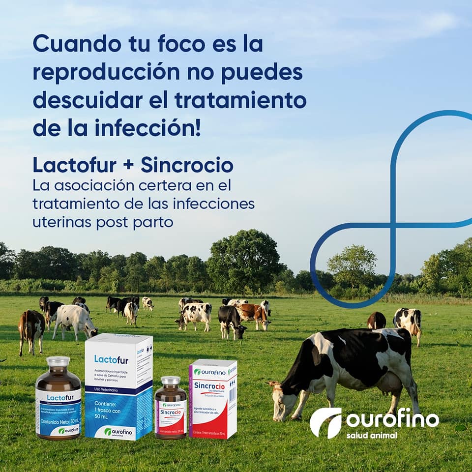 Lactofur Ceftiofur 100 ml - Imagen 8