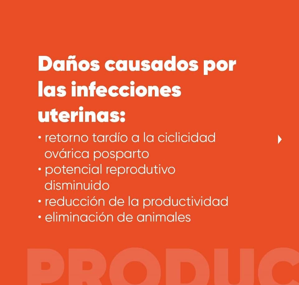 Lactofur Ceftiofur 100 ml - Imagen 6