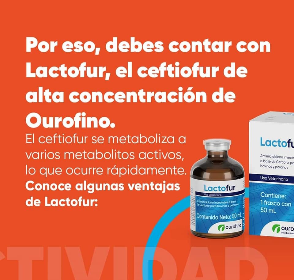 Lactofur Ceftiofur 100 ml - Imagen 5