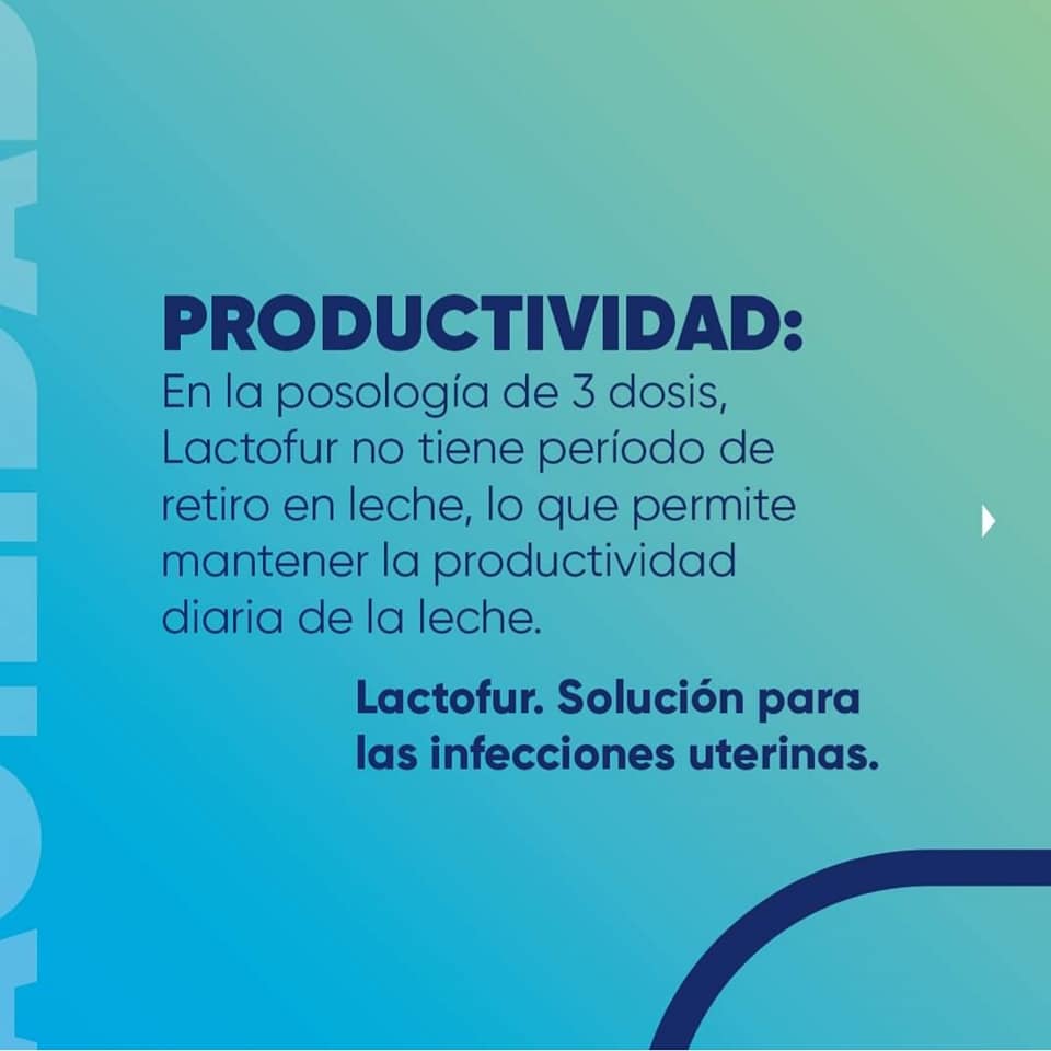 Lactofur Ceftiofur 100 ml - Imagen 3