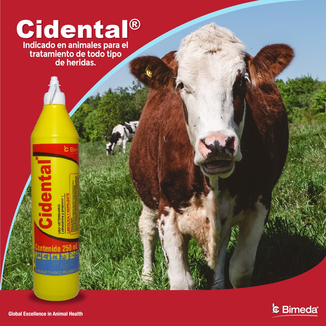 Curabichera CIDENTAL 250ml - Imagen 6