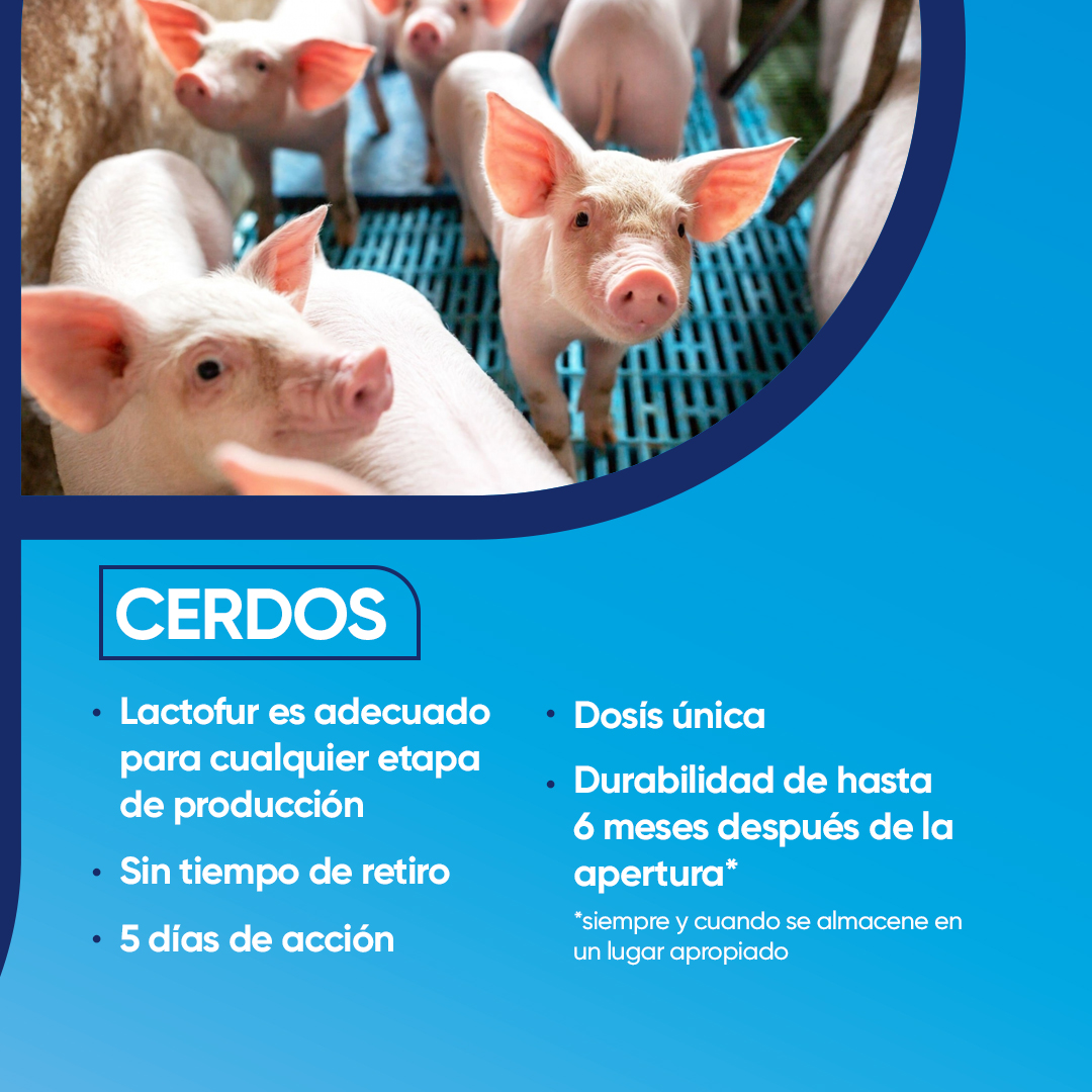 Lactofur Ceftiofur 100 ml - Imagen 9