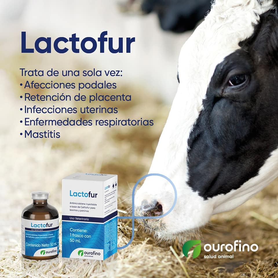 Lactofur Ceftiofur 100 ml - Imagen 10