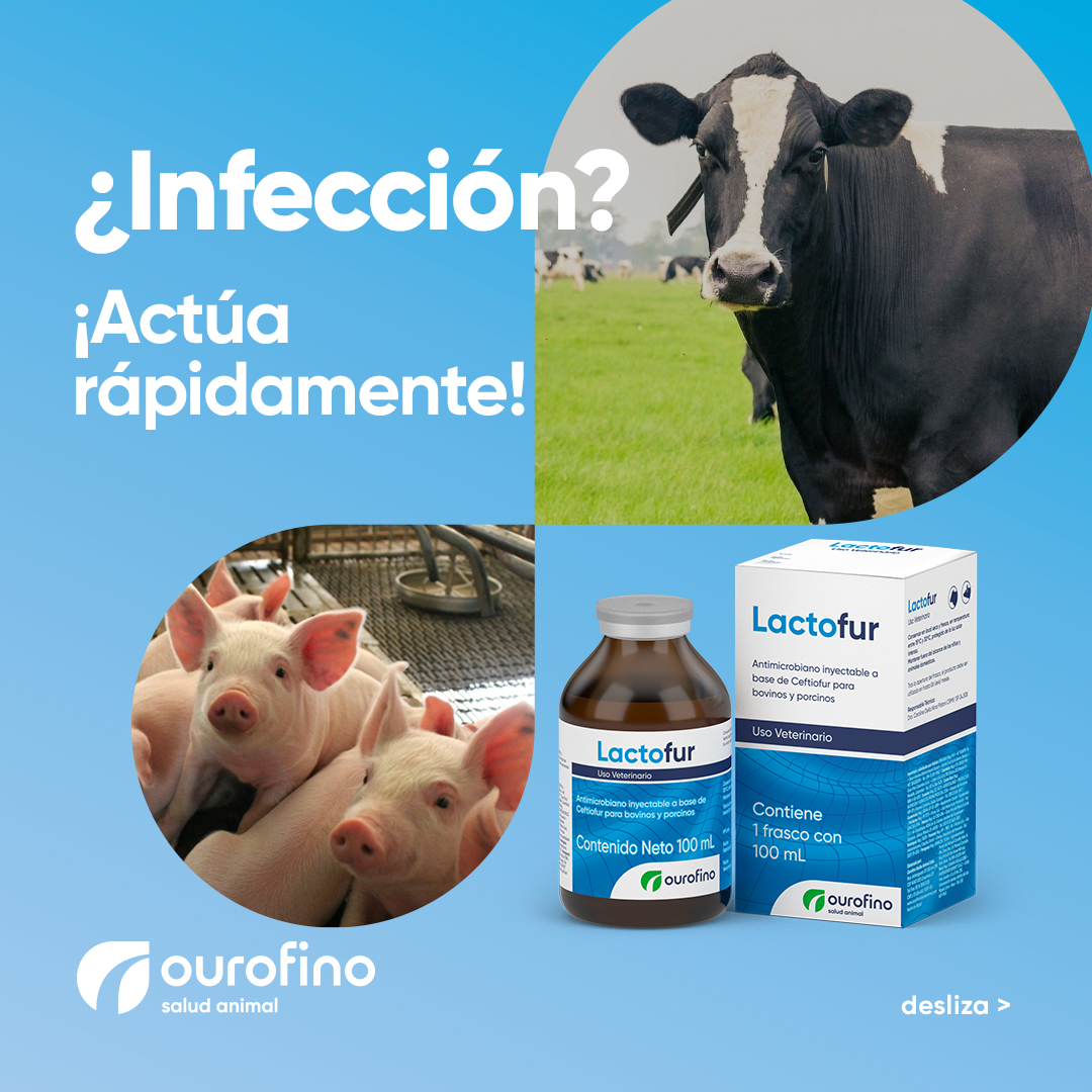 Lactofur Ceftiofur 100 ml - Imagen 11