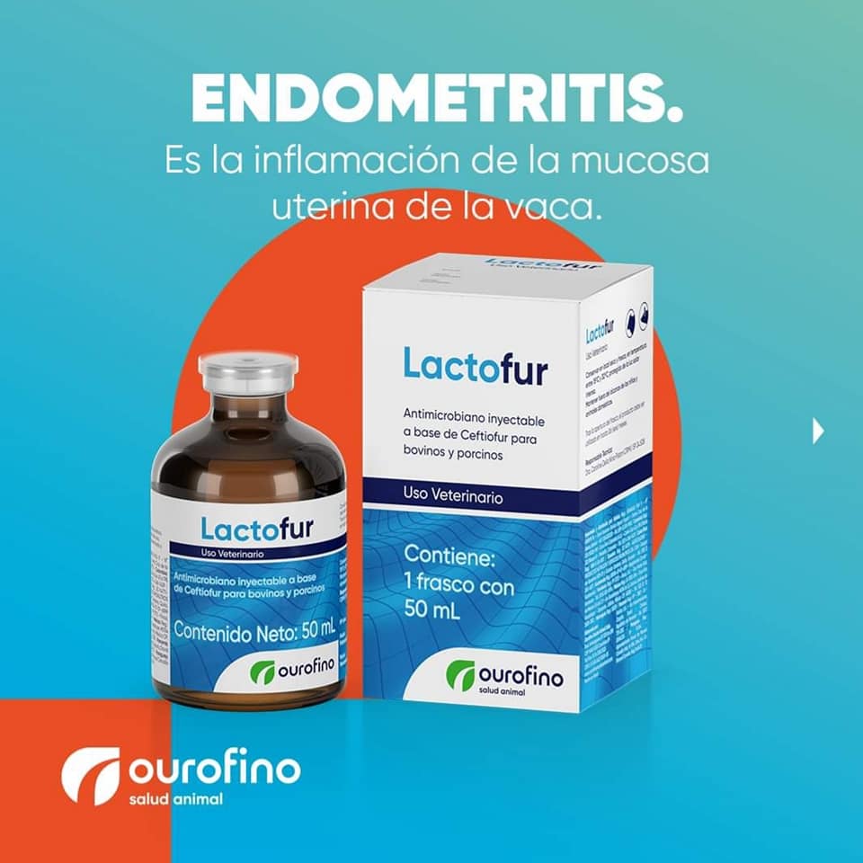 Lactofur Ceftiofur 100 ml - Imagen 12