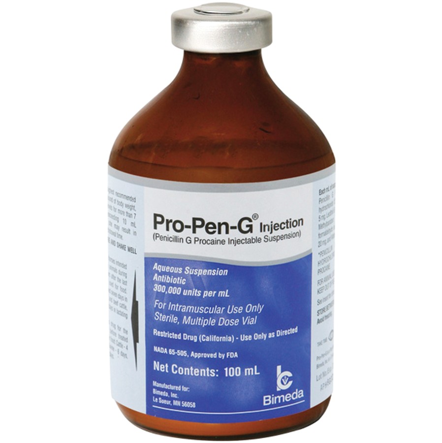 Antibiótico Pro-Pen-G Penicilina G Procaína