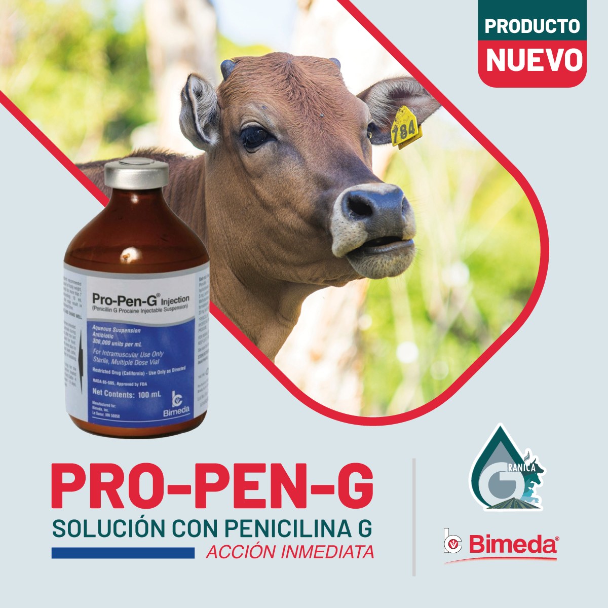 Antibiótico Pro-Pen-G Penicilina G Procaína - Imagen 7
