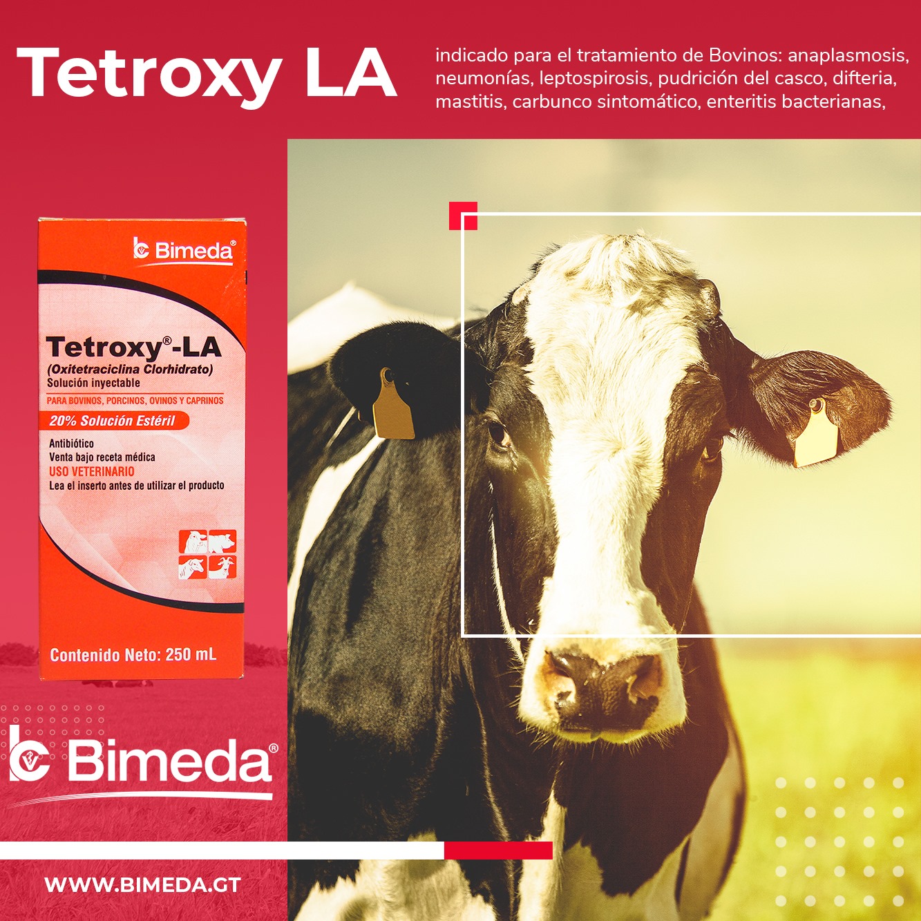 Antibiótico Tetroxy-LA 100 ml Irlanda - Imagen 3