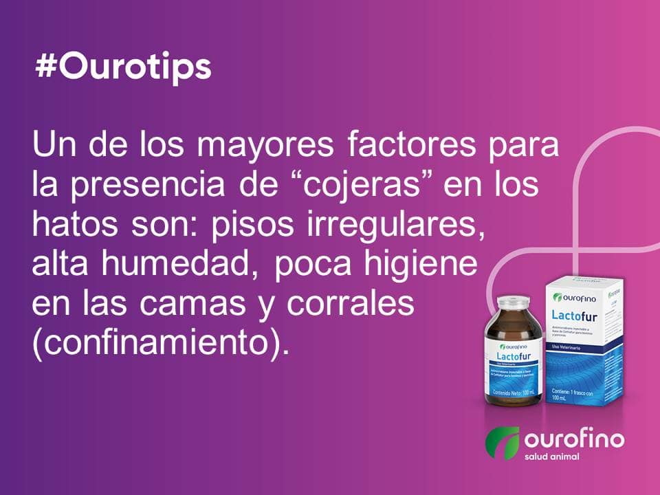 Lactofur Ceftiofur 100 ml - Imagen 16