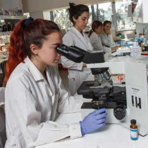 Equipos y Materiales para Laboratorio