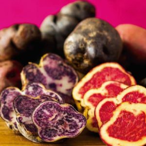 Semillas Papas Nativas