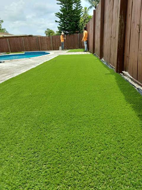 Festuca Mustang - Imagen 16