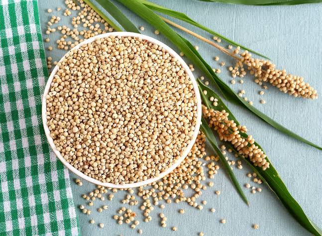 Semilla Sorgo Forrajero
