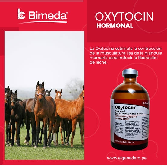 Oxytocin Injection Bimeda - Imagen 2