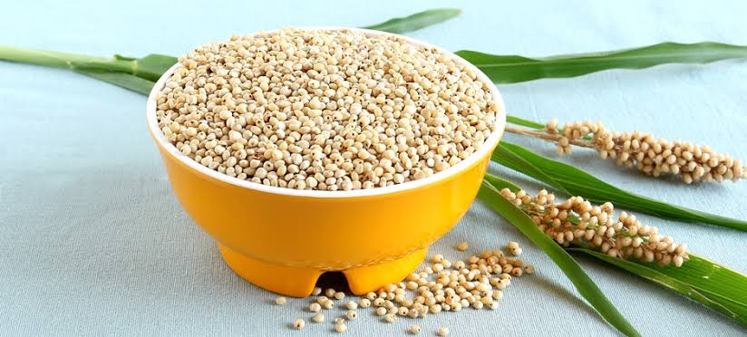 Semilla Sorgo Forrajero - Imagen 12