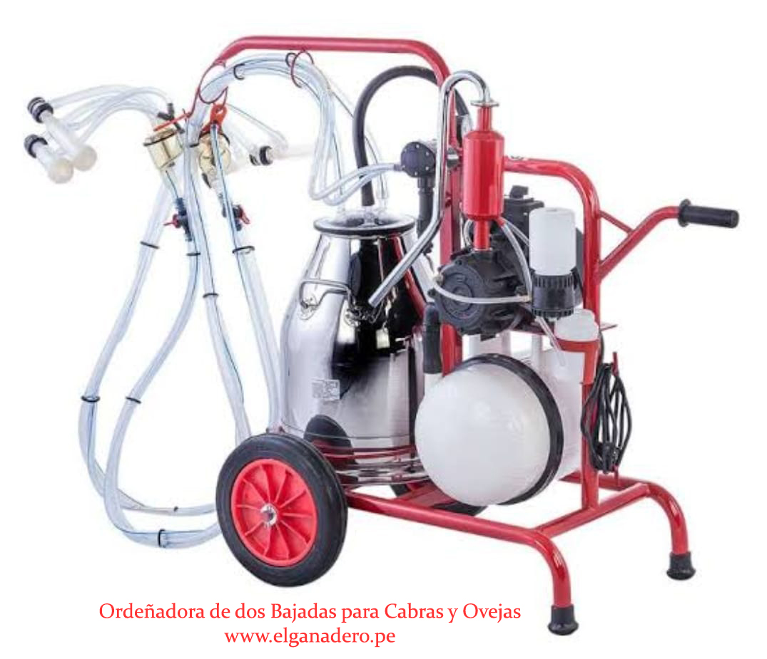 Ordeñadora KURTSAN 1 Bajada KM04094 - Imagen 6