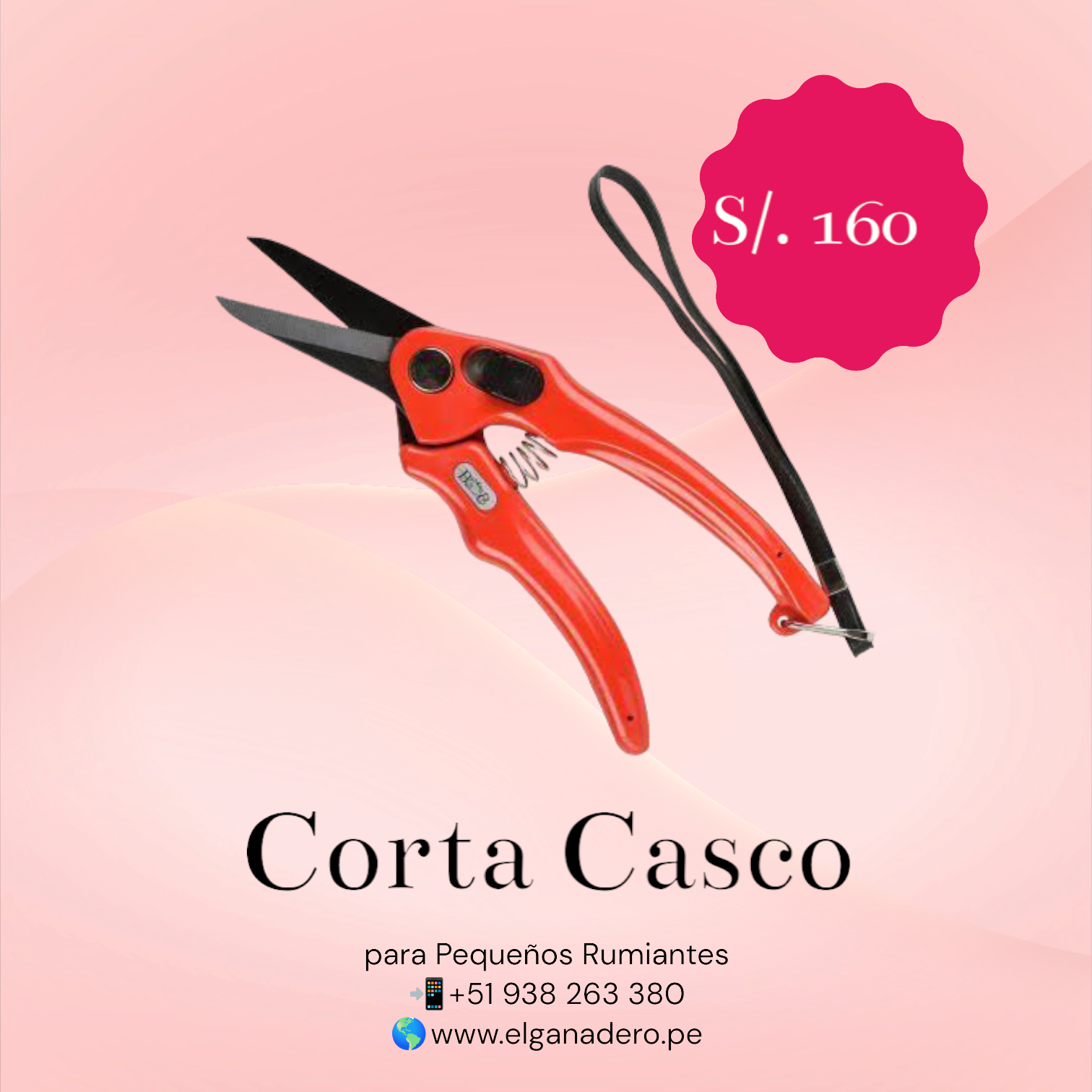 Corta Casco para Ovejas - Imagen 2