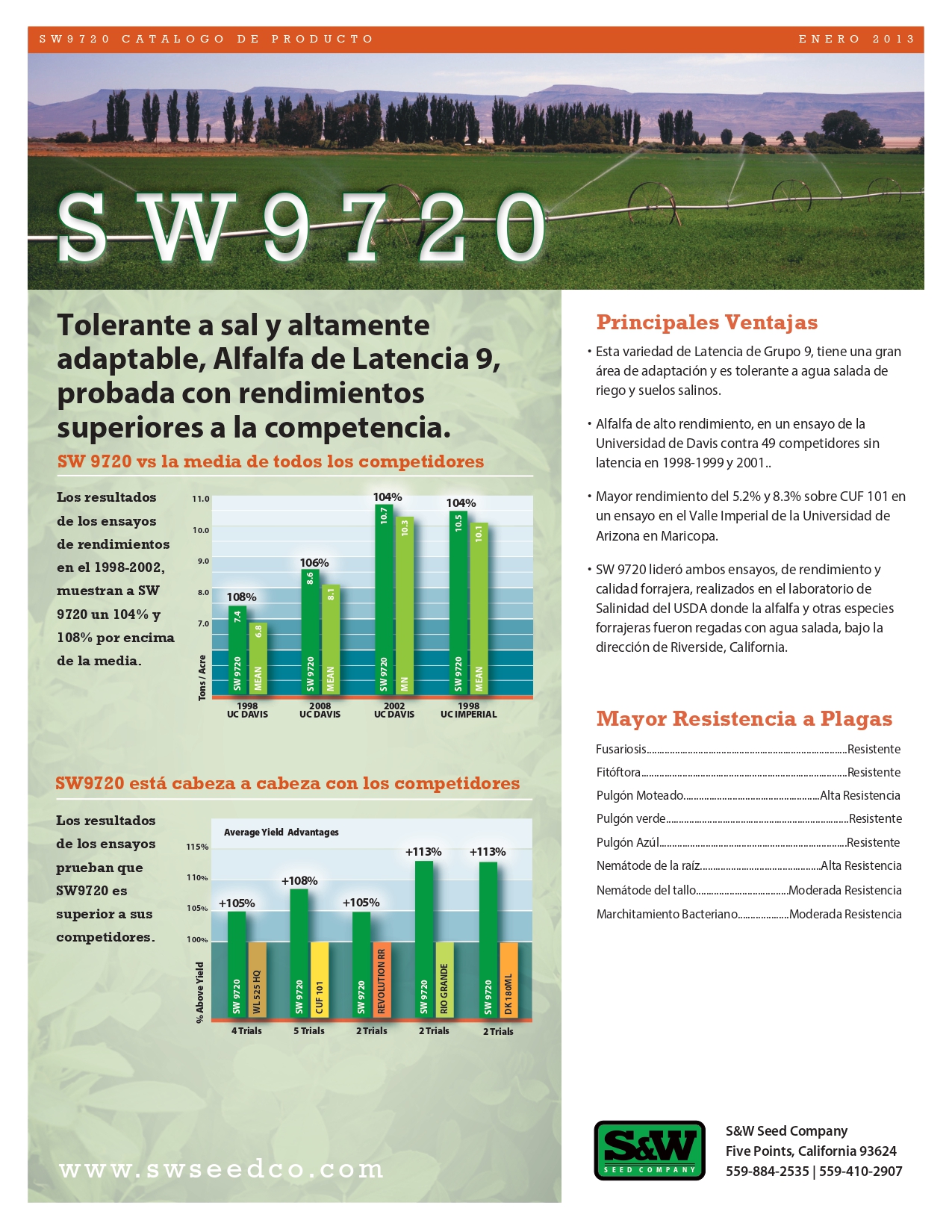 Alfalfa SW9720 - Imagen 4