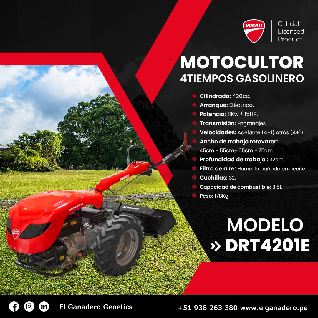 Motocultor Ducati DRT4201E 15hp