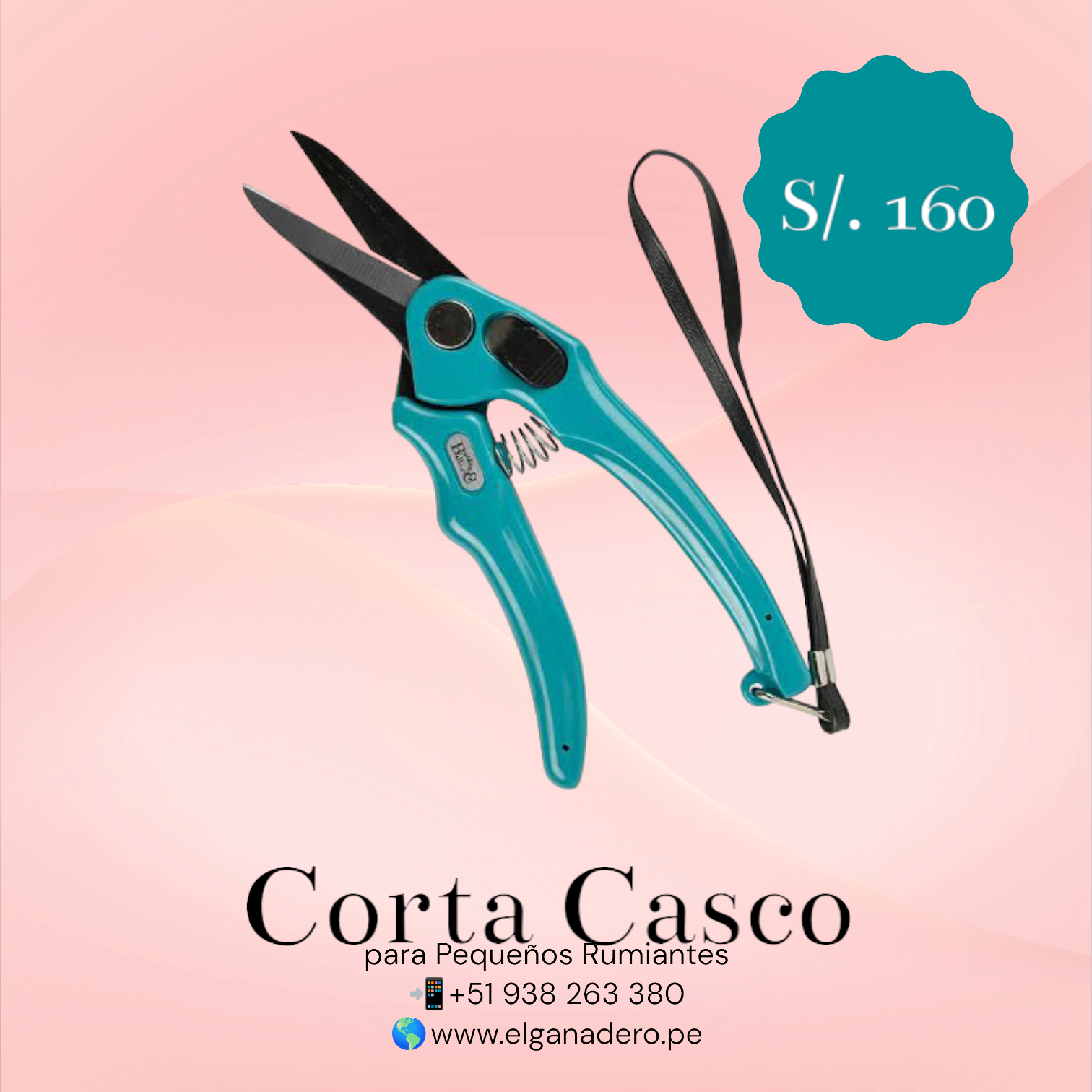 Corta Casco para Ovejas - Imagen 3