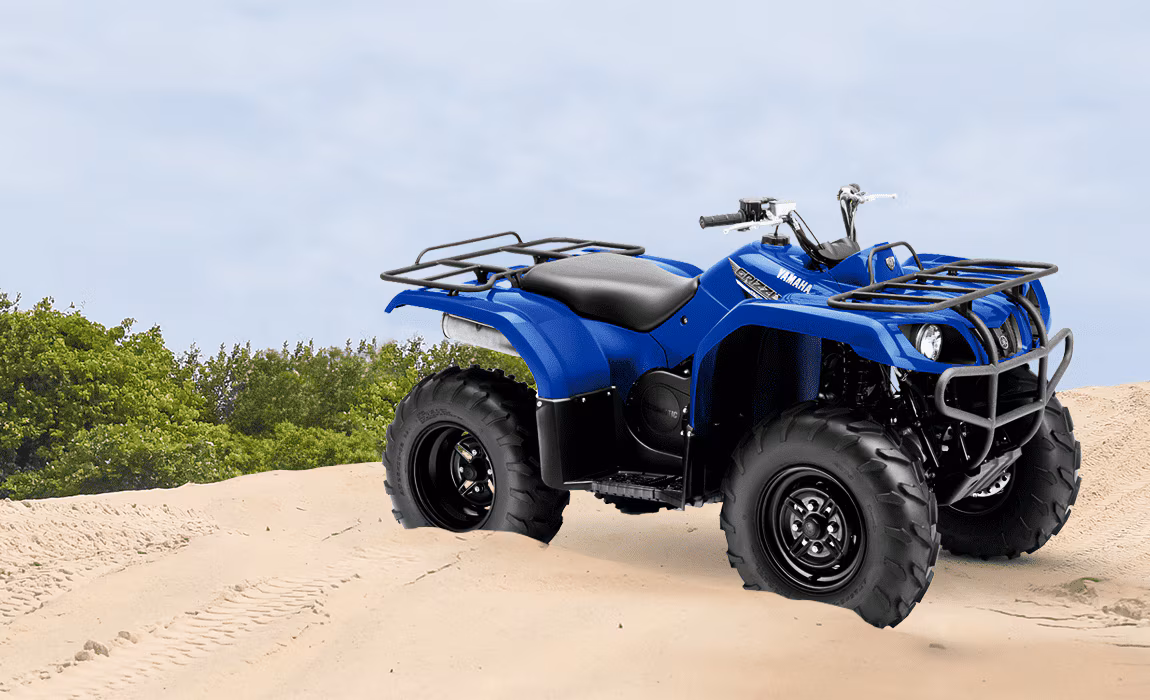 Cuatrimoto Yamaha GRIZZLY 350 2WD - Imagen 2
