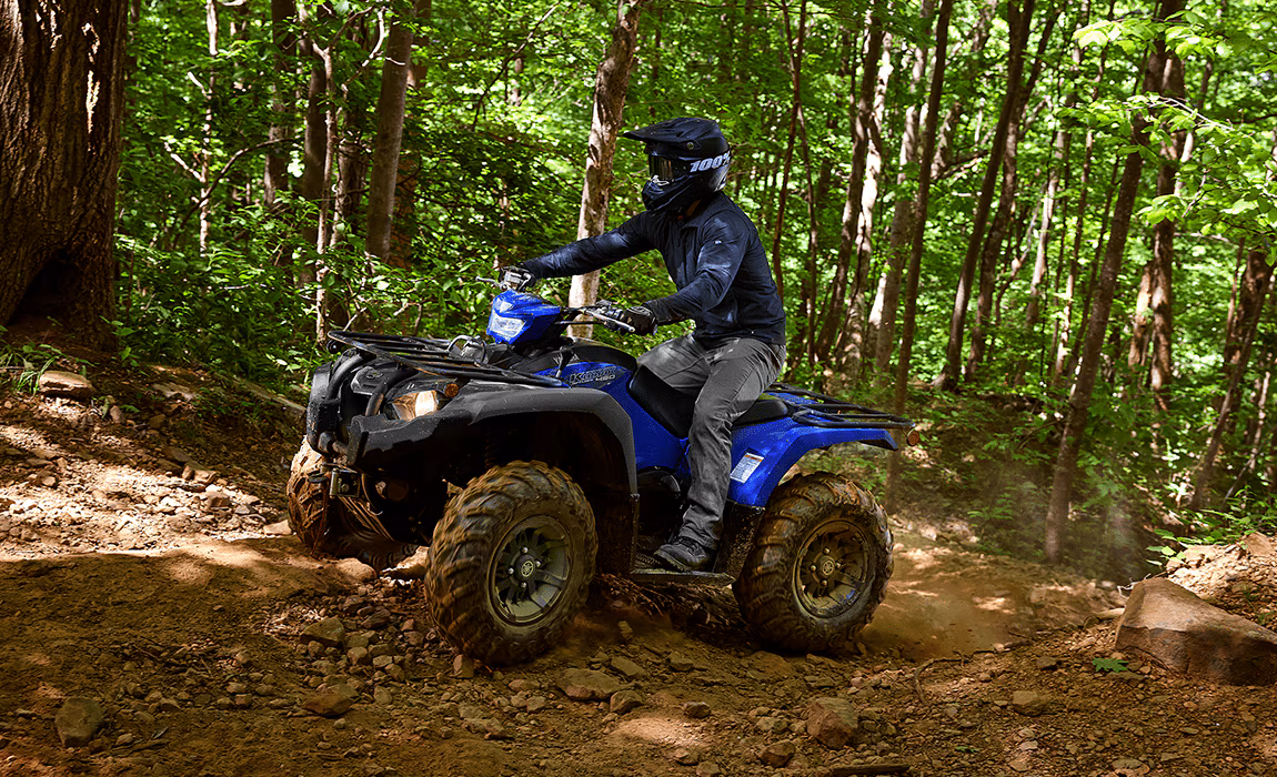Cuatrimoto Yamaha GRIZZLY 350 2WD - Imagen 3