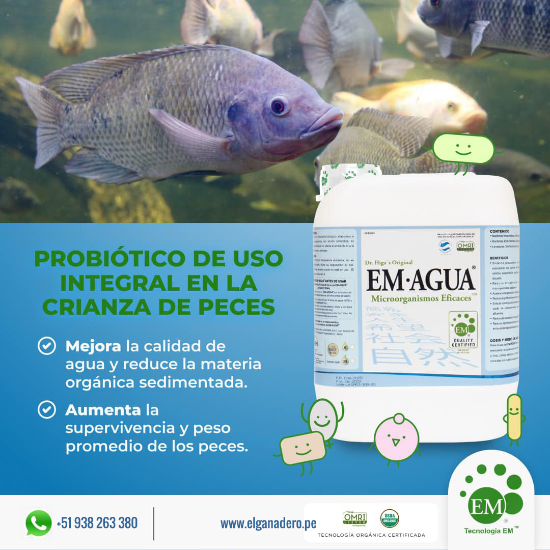 EM. AGUA MICROORGANISMOS EFICACES - Imagen 3