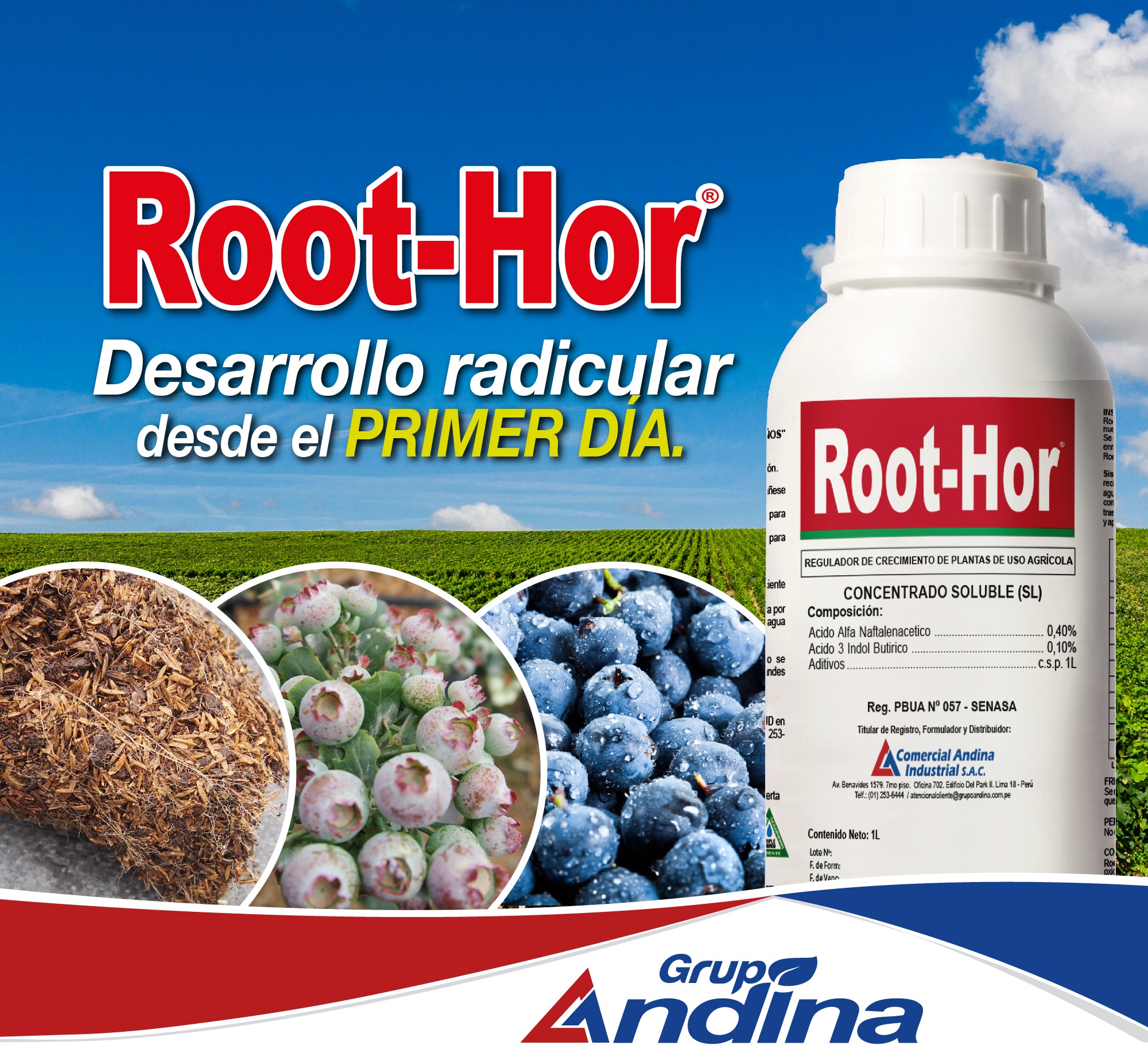 ENRAIZADOR ROOT-HOR 1 LITRO - Imagen 11