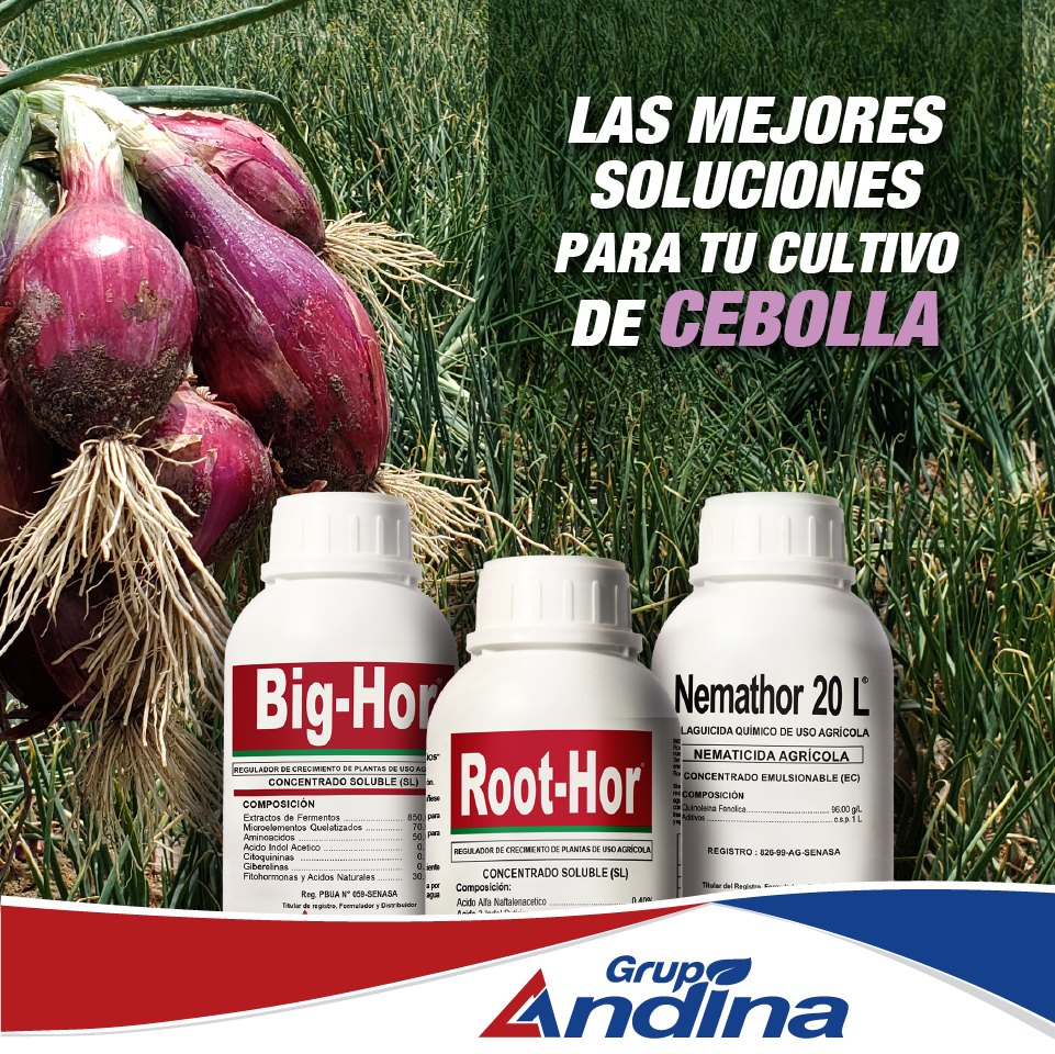 ENRAIZADOR ROOT-HOR 1 LITRO - Imagen 9