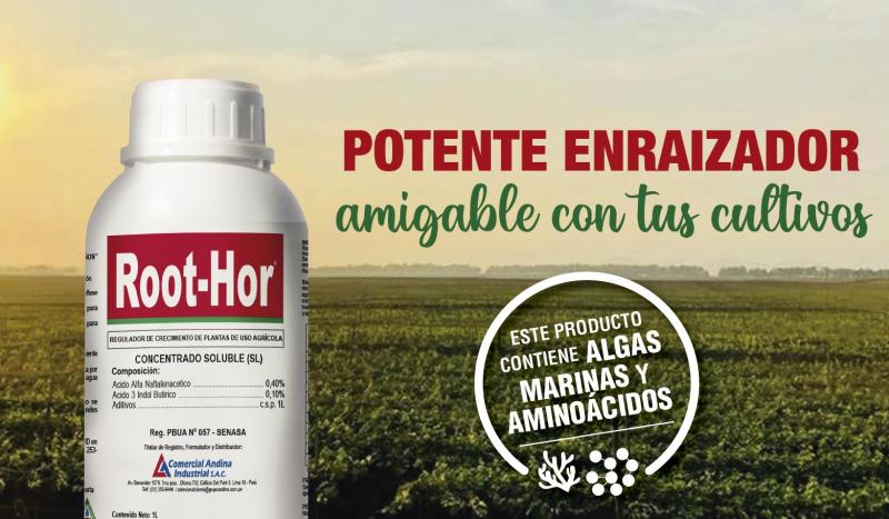 ENRAIZADOR ROOT-HOR 1 LITRO - Imagen 8