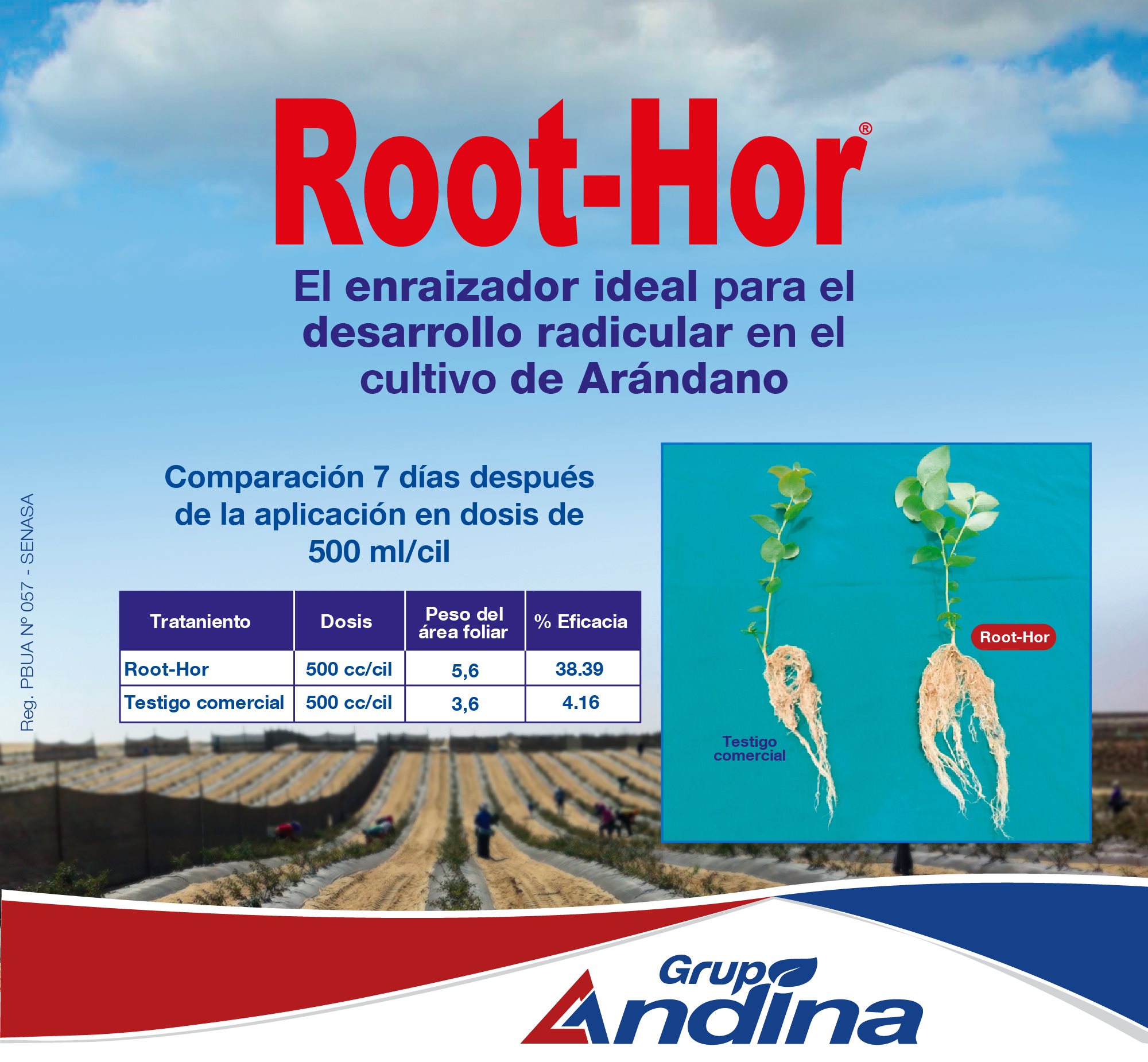ENRAIZADOR ROOT-HOR 1 LITRO - Imagen 4