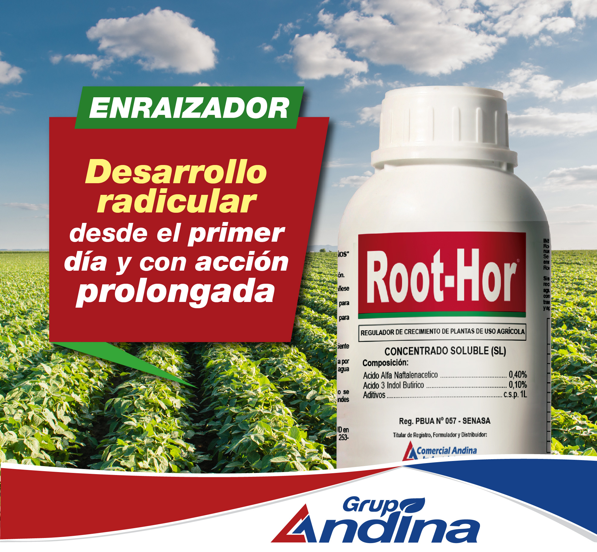 ENRAIZADOR ROOT-HOR 1 LITRO - Imagen 7