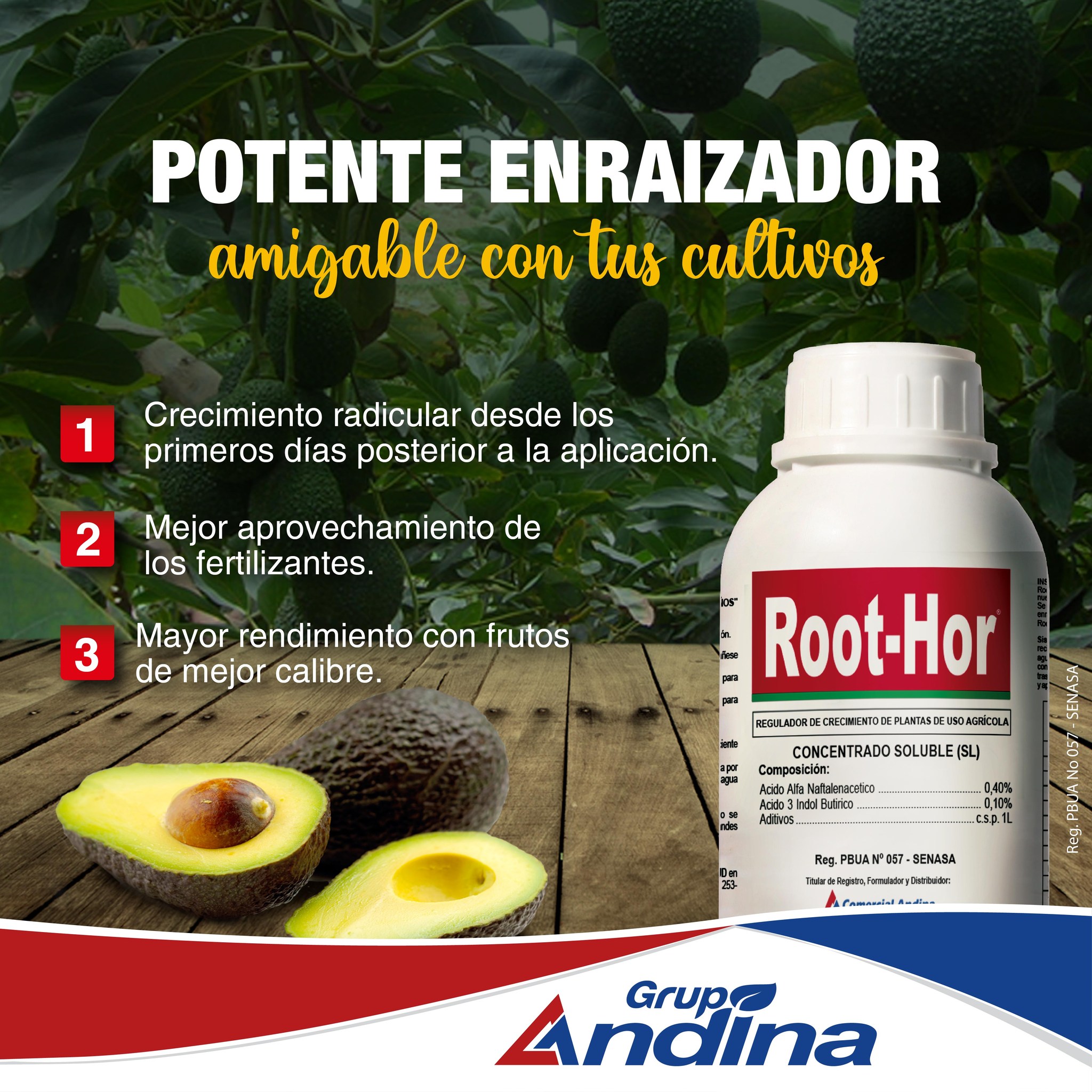 ENRAIZADOR ROOT-HOR 1 LITRO - Imagen 6