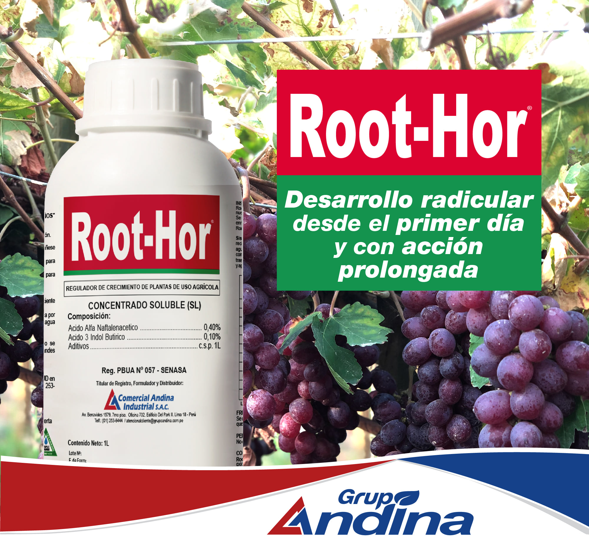 ENRAIZADOR ROOT-HOR 1 LITRO - Imagen 3