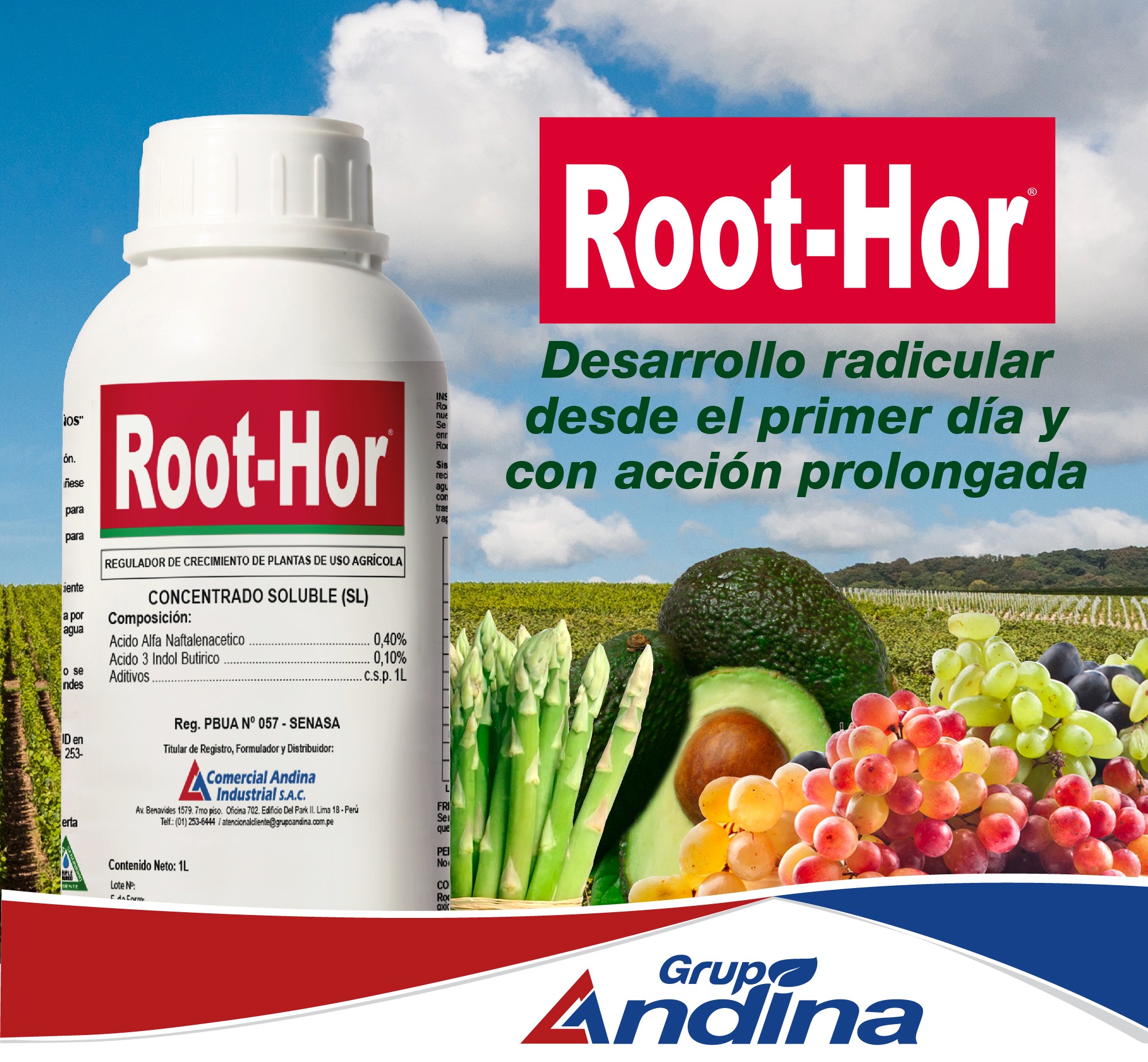 ENRAIZADOR ROOT-HOR 1 LITRO - Imagen 2