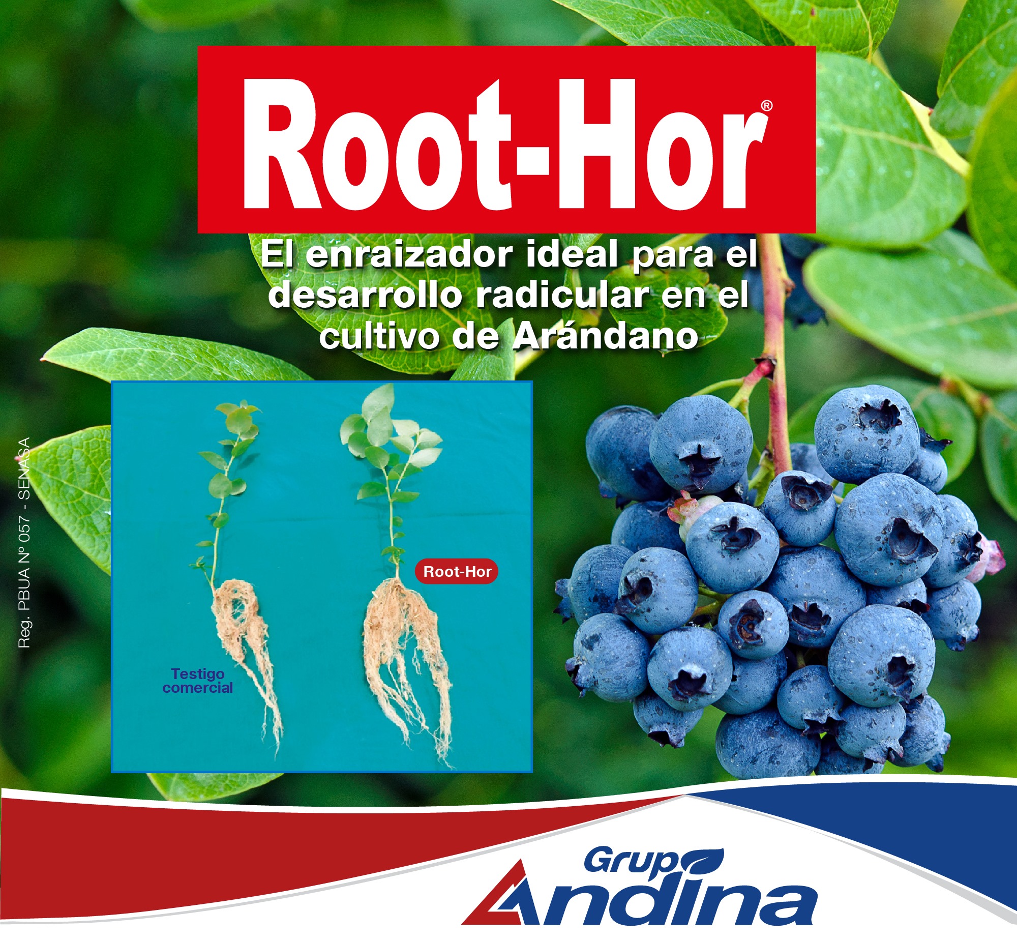ENRAIZADOR ROOT-HOR 1 LITRO - Imagen 5