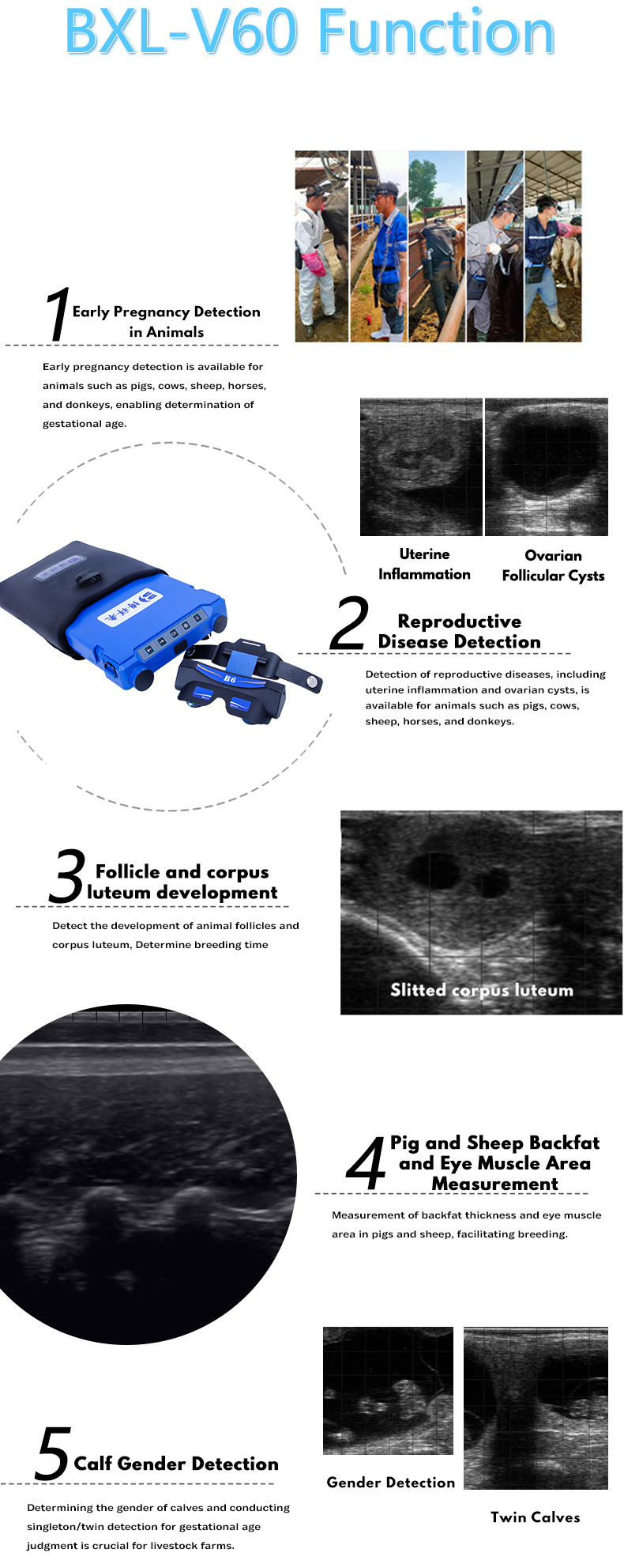 Ultrasonido Ecografo Veterinario con Gafas - Imagen 8