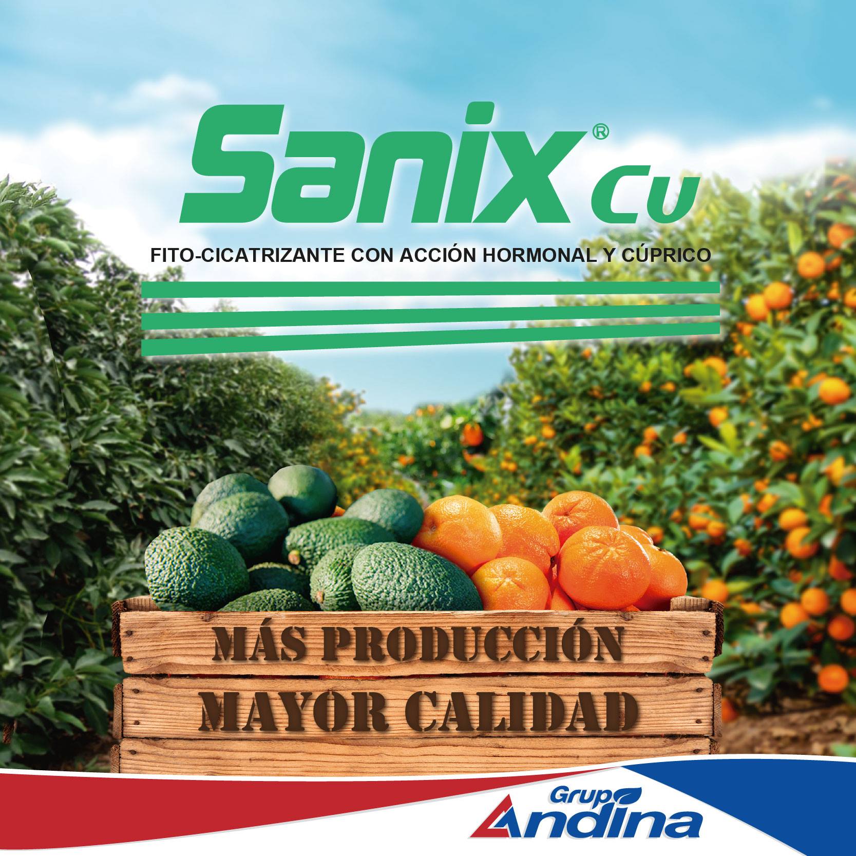 Pasta Cicatrizante SANIX Cu 1Kg - Imagen 3