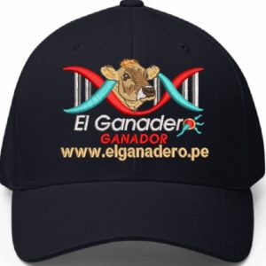 Gorro para Ganaderos Raza Brown Swiss