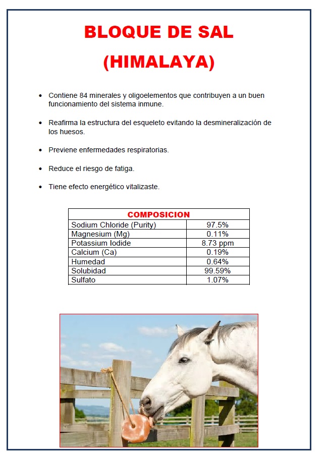 Bloque Nutricional Sal Himalaya - Imagen 6