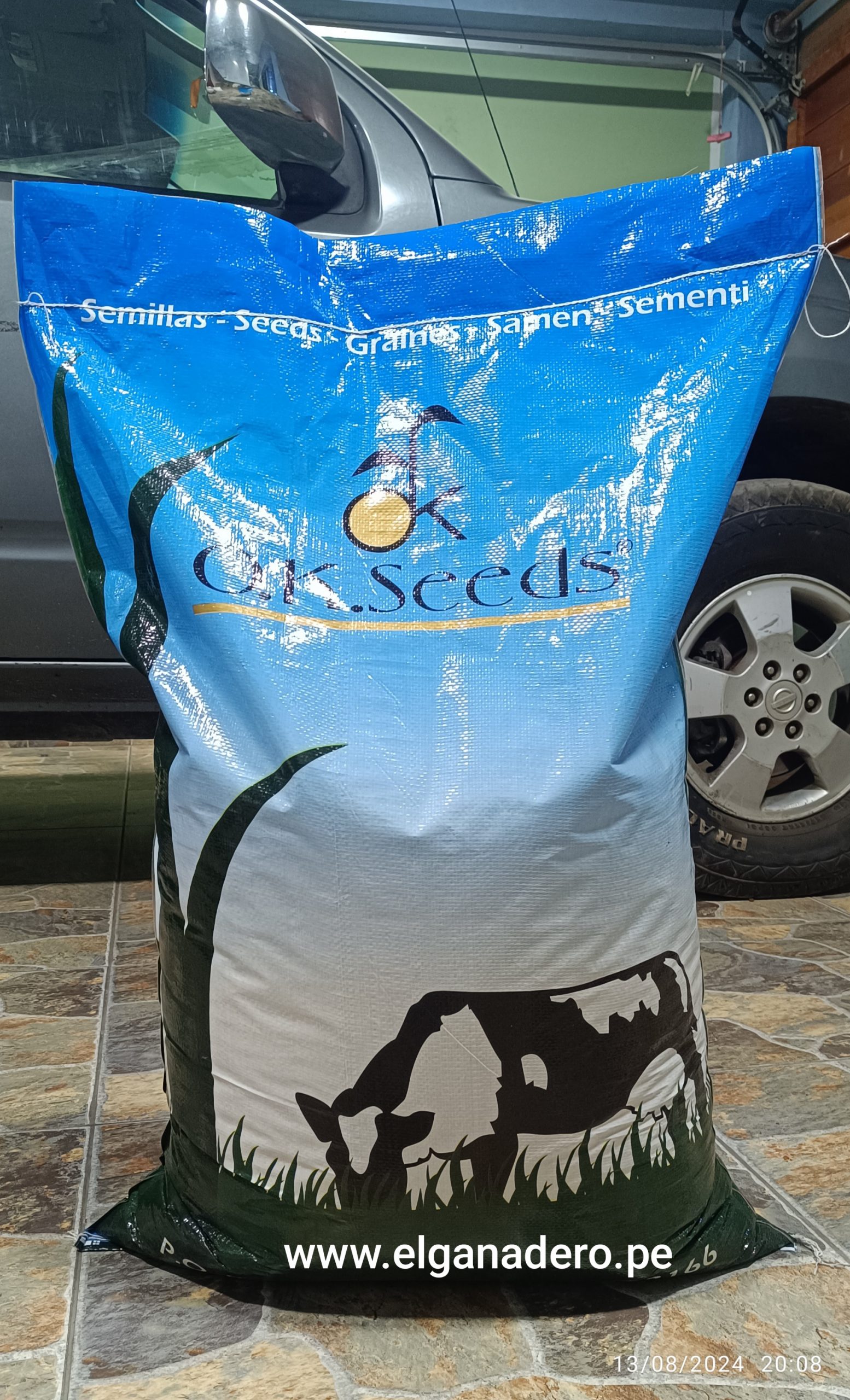 RYE GRASS TITAN BLEND FORAGE (MEZCLA) OK. SEEDS