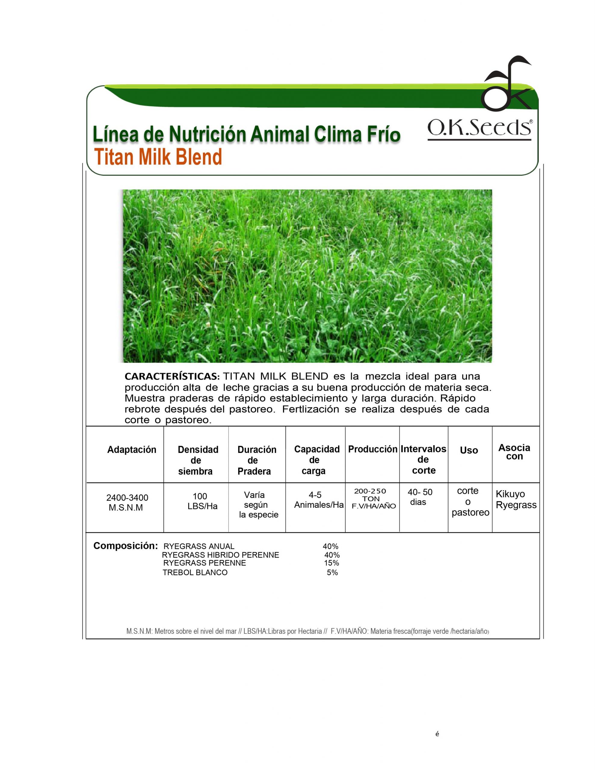 RYE GRASS TITAN BLEND FORAGE (MEZCLA) OK. SEEDS - Imagen 2