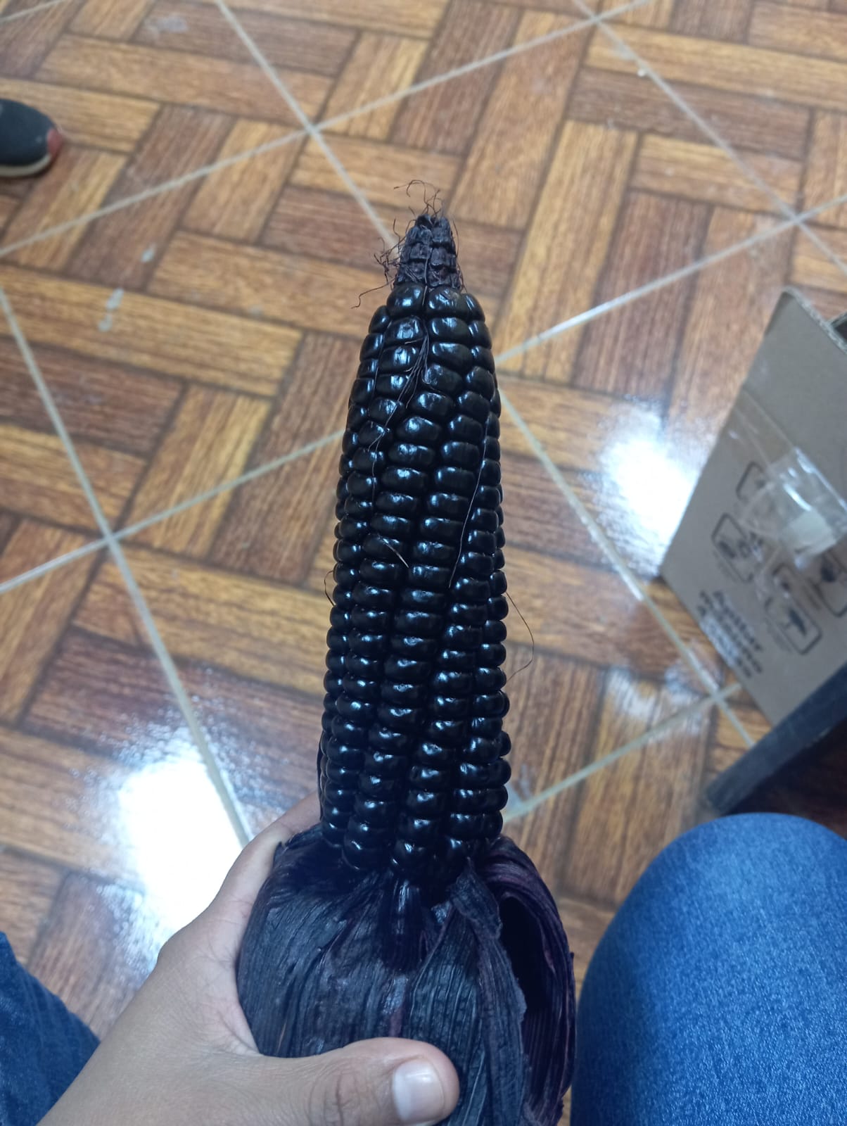 Semilla Maíz Morado INIA 601 - Imagen 3