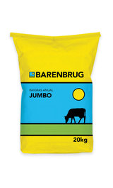 Ryegrass Tetraploide Anual Jumbo - Imagen 2